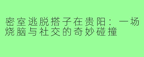 密室逃脱搭子在贵阳：一场烧脑与社交的奇妙碰撞