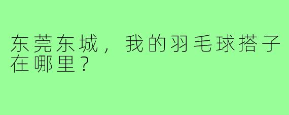 东莞东城，我的羽毛球搭子在哪里？