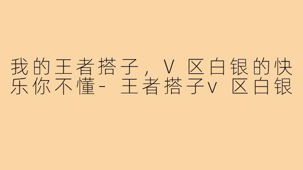 我的王者搭子，V区白银的快乐你不懂-王者搭子v区白银