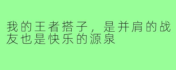 我的王者搭子，是并肩的战友也是快乐的源泉