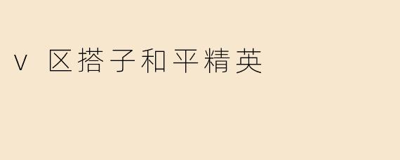v区搭子和平精英