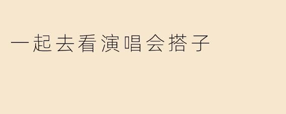 一起去看演唱会搭子