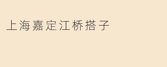 上海嘉定江桥搭子