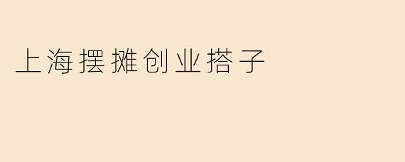 上海摆摊创业搭子