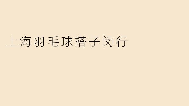 上海羽毛球搭子闵行