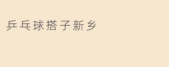 乒乓球搭子新乡