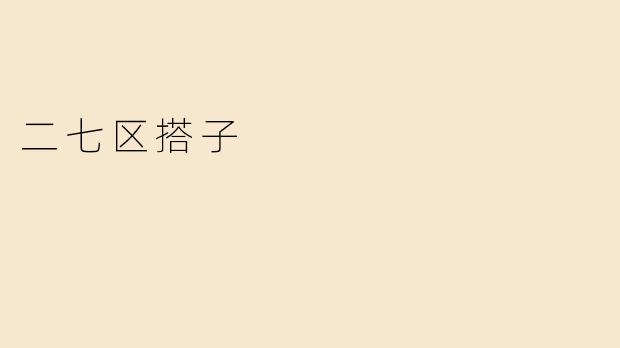 二七区搭子