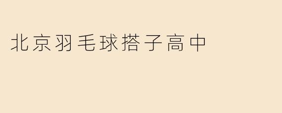 北京羽毛球搭子高中