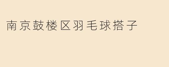 南京鼓楼区羽毛球搭子