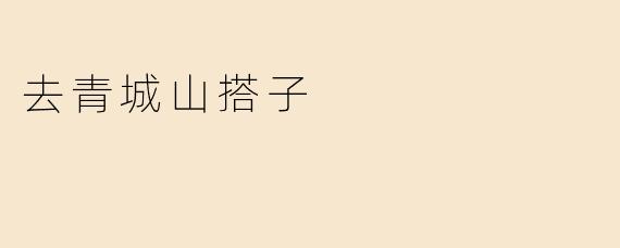 去青城山搭子
