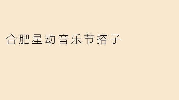 合肥星动音乐节搭子