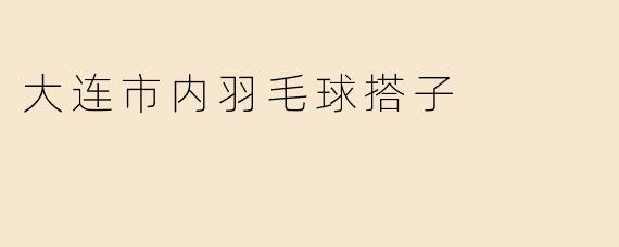 想在大连市内找个能长期一起打羽毛球的搭子，平时晚上或者周末活动，中级水平，希望对方也比较稳定，最好在甘井子或沙河口附近，有推荐的吗？
