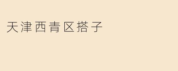 天津西青区搭子