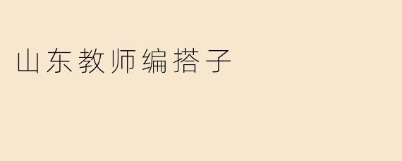 山东教师编搭子