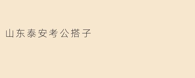 山东泰安考公搭子