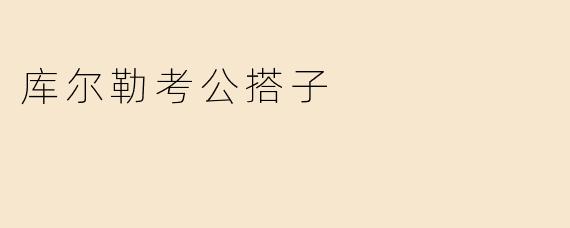 库尔勒考公搭子