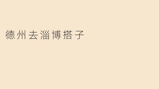 德州去淄博搭子