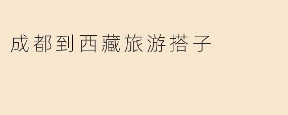 成都到西藏旅游搭子