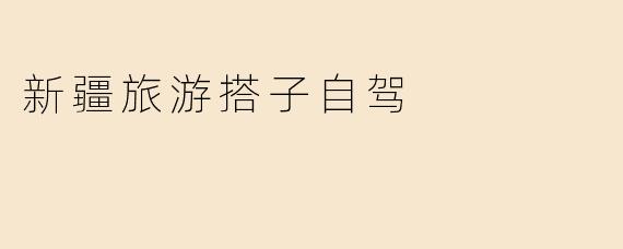 新疆旅游搭子自驾