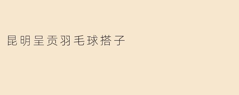 昆明呈贡羽毛球搭子