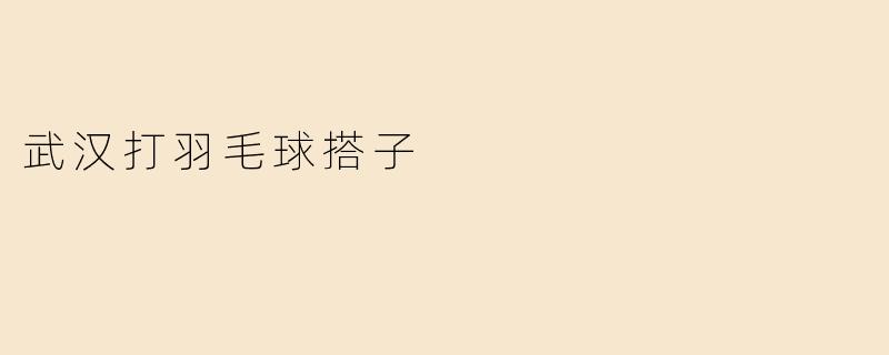 武汉打羽毛球搭子