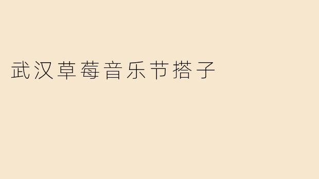 武汉草莓音乐节搭子