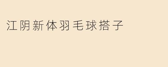 江阴新体羽毛球搭子