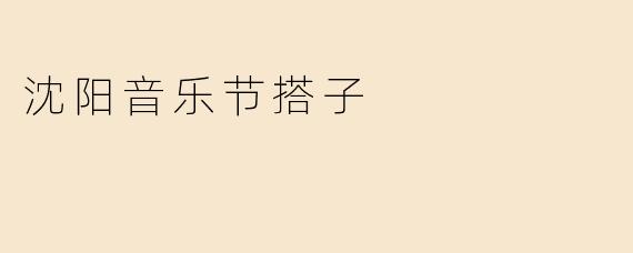 沈阳音乐节搭子：一场节拍与缘分的双向奔赴