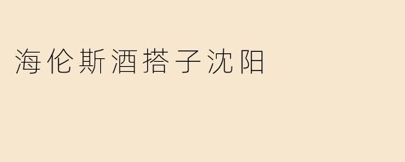 海伦斯酒搭子沈阳