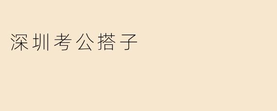 深圳考公搭子
