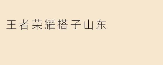 王者荣耀搭子山东