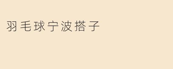 羽毛球宁波搭子