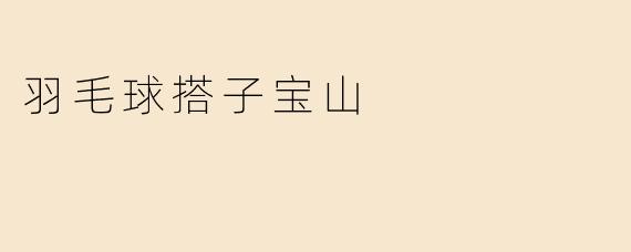 羽毛球搭子宝山