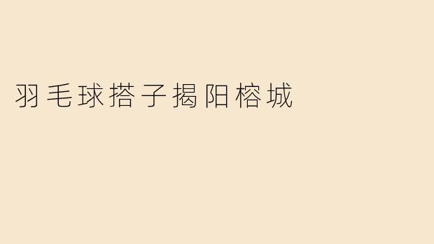 羽毛球搭子揭阳榕城