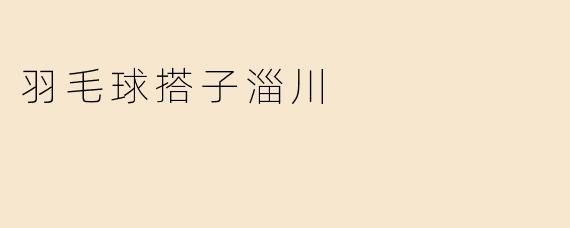 羽毛球搭子淄川
