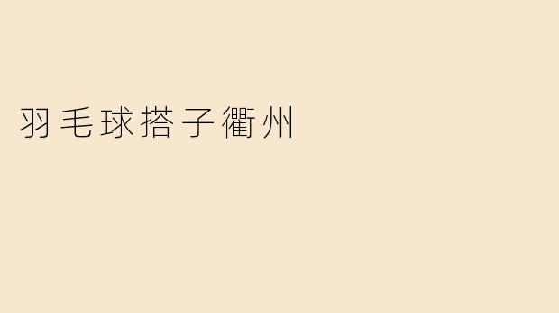 羽毛球搭子衢州