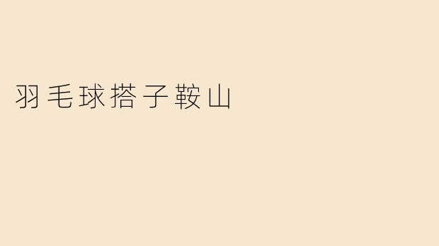 羽毛球搭子鞍山