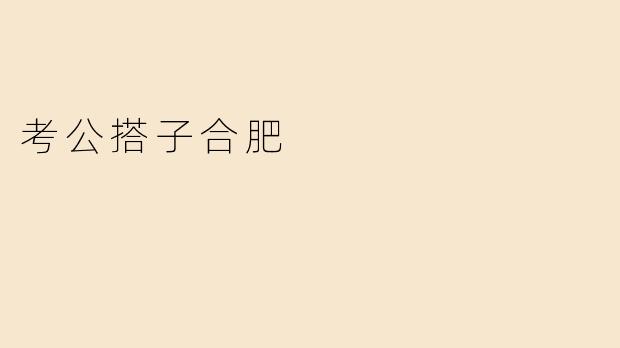 考公搭子合肥