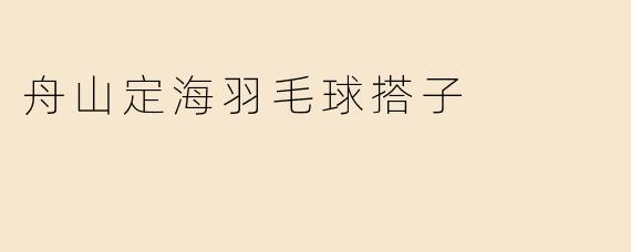 舟山定海羽毛球搭子