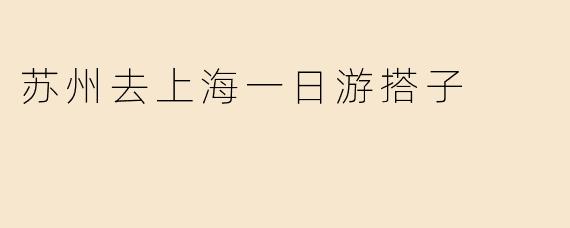 苏州去上海一日游搭子