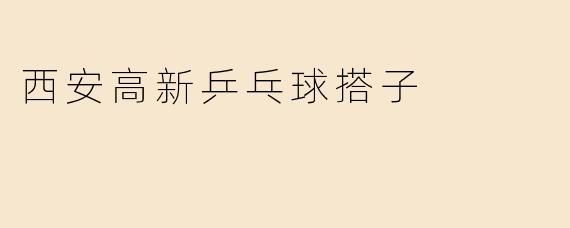 西安高新乒乓球搭子