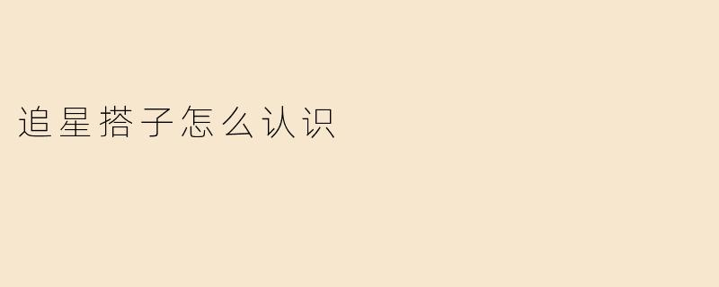 追星搭子怎么认识