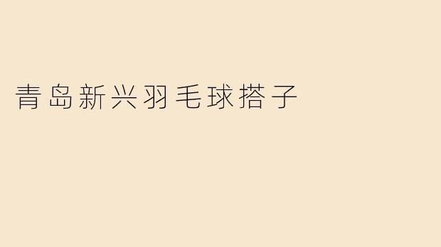 青岛新兴羽毛球搭子