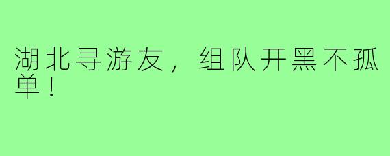 湖北寻游友，组队开黑不孤单！