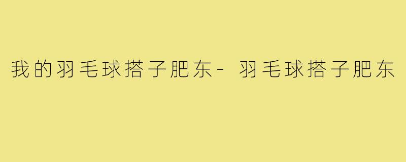 我的羽毛球搭子肥东-羽毛球搭子肥东
