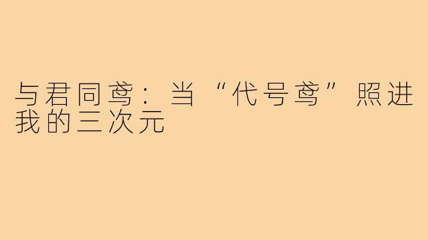 与君同鸢：当“代号鸢”照进我的三次元