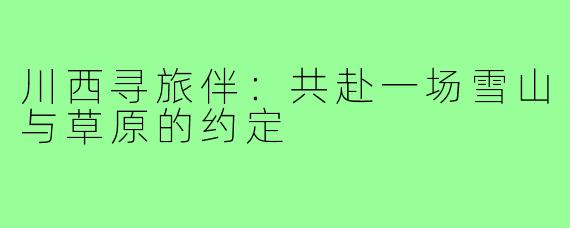 川西寻旅伴：共赴一场雪山与草原的约定