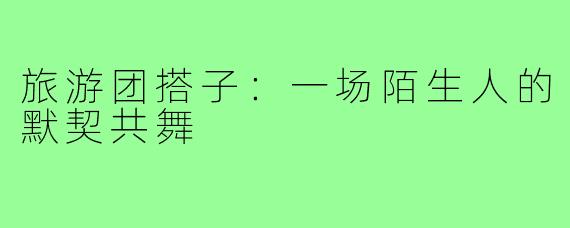 旅游团搭子:一场陌生人的默契共舞