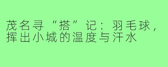 茂名寻“搭”记：羽毛球，挥出小城的温度与汗水