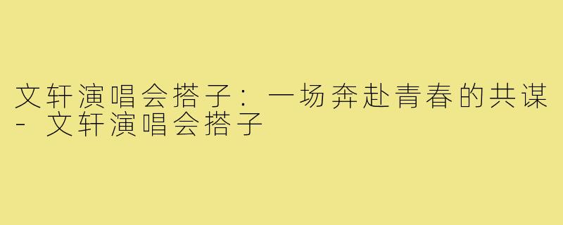文轩演唱会搭子：一场奔赴青春的共谋-文轩演唱会搭子